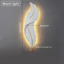 0olw.jpg.webp